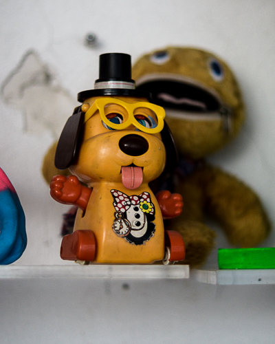 Inside Bortusk's studio - DOg with glasses