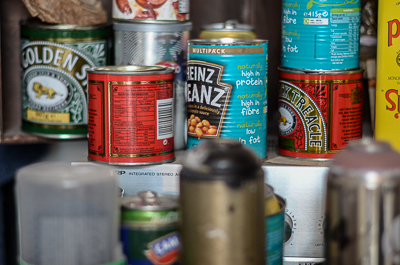 Inside My Dog Sighs' studio