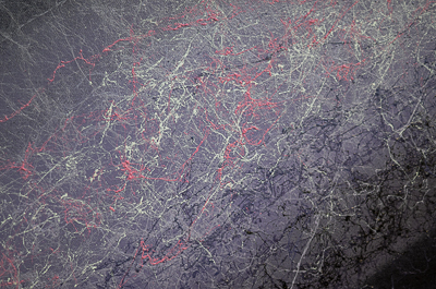 Inside Astro's studio - canvass detail