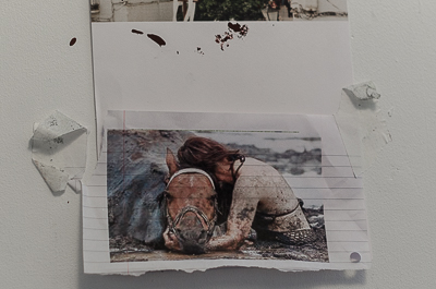 The picture which inspired the previous piece