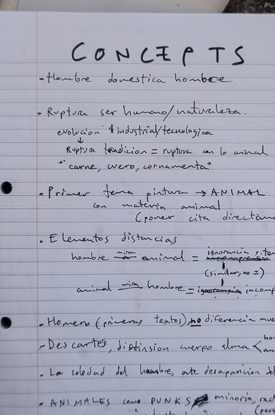 Inside Borondo's studio - Preparing for the Exhibition - Concepts