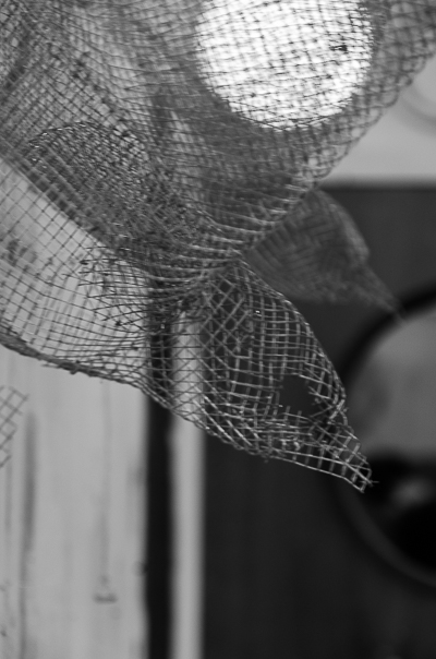 Edoardo Tresoldi's wire crow