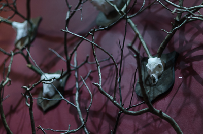 Opening Night - Animal Exhibition - Despina Charitonidi's installation - The passage