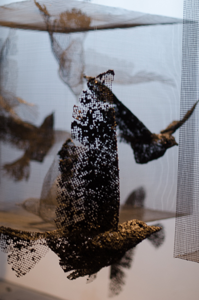 Opening Night - Animal Exhibition - Edoardo Tresoldi's installation - Control