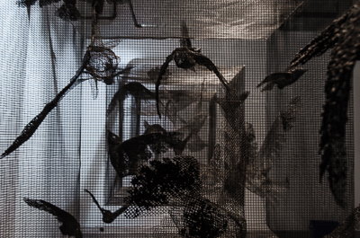 Opening Night - Animal Exhibition - Edoardo Tresoldi's installation - Control