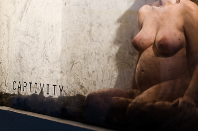 Opening Night - Animal Exhibition - Captivity