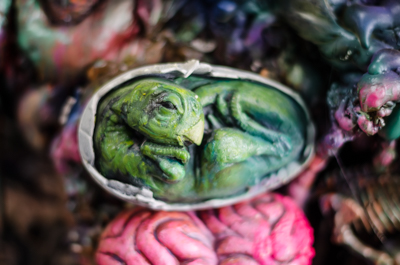 Diorama - close-up - Dinosaur foetus