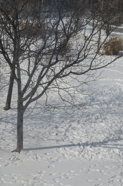 View from Beau Stanton's studio - Snow in Brooklyn