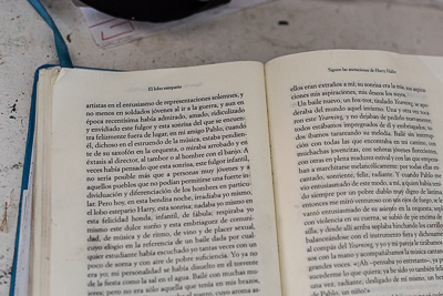 Steppenwolf by Herman Hesse (Spanish version)